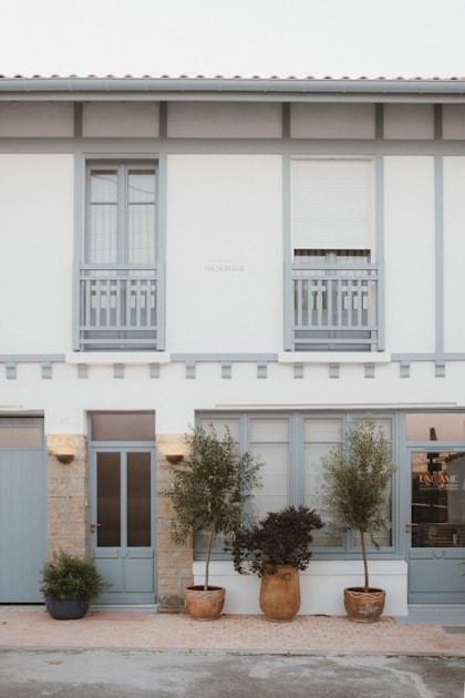 DIY Projects for Homeowners